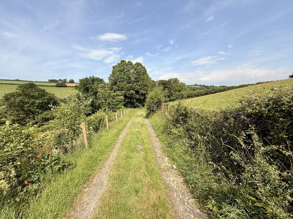  Trewidland